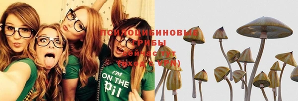 синтетический гашиш Гатчина