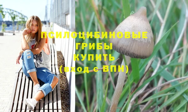 сатива Сафоново