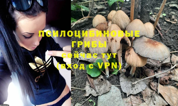 гидропоника Алексеевка