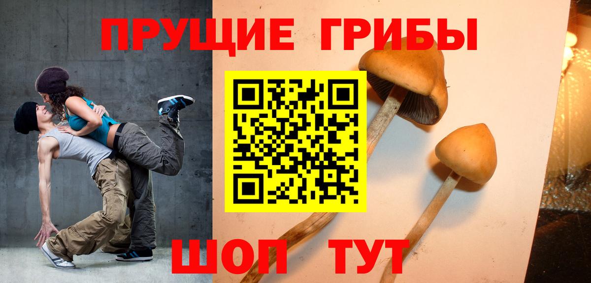 Галлюциногенные грибы прущие грибы  Галлюциногенные грибы Psilocybe  Вход с VPN  дарнет шоп  Клинцы 