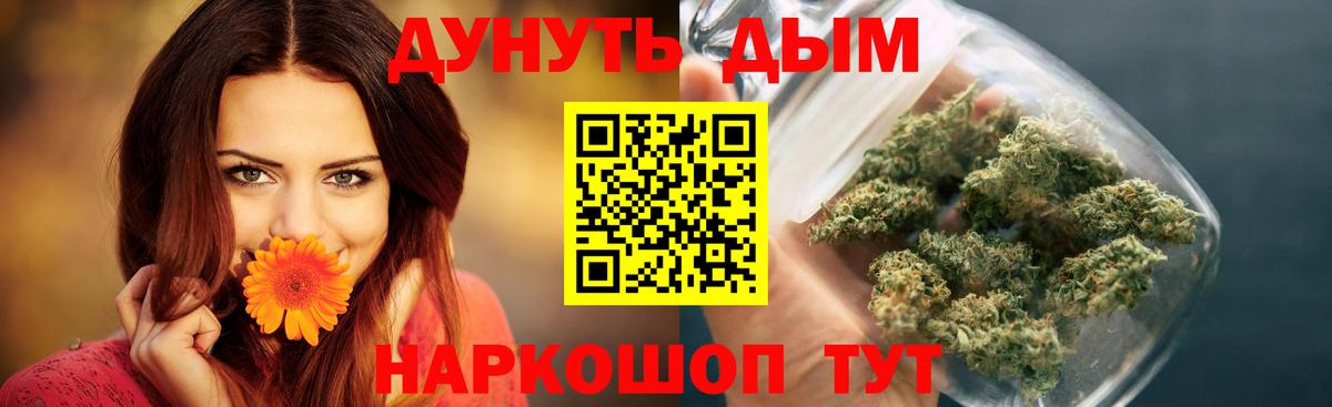 Шишки марихуана планчик Клинцы
